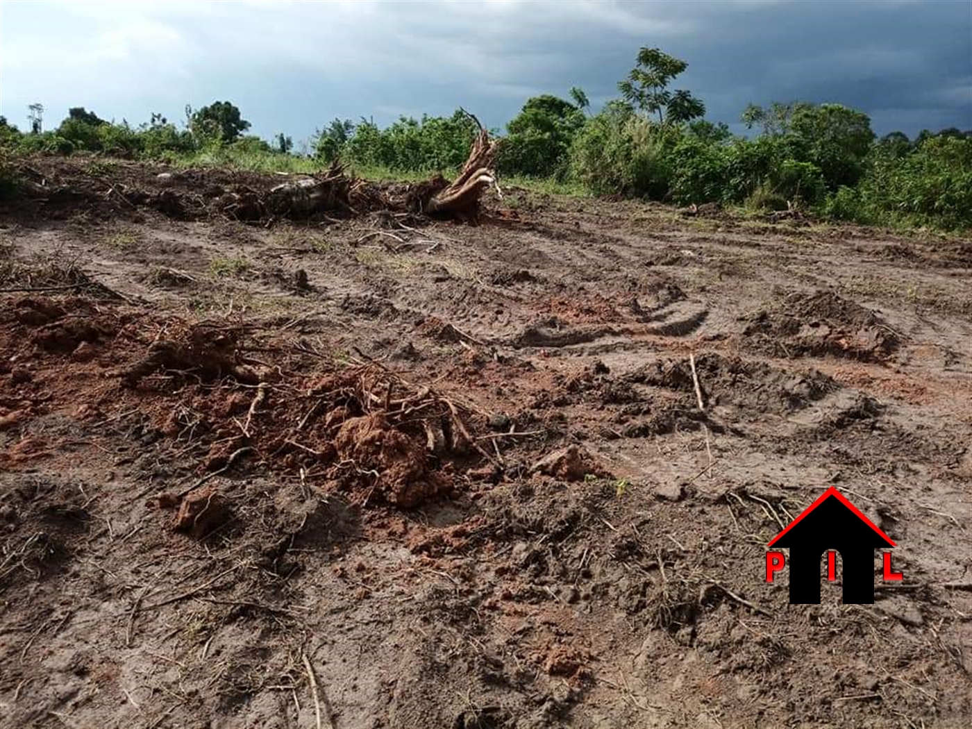 Agricultural Land for sale in Ngaaju Luweero