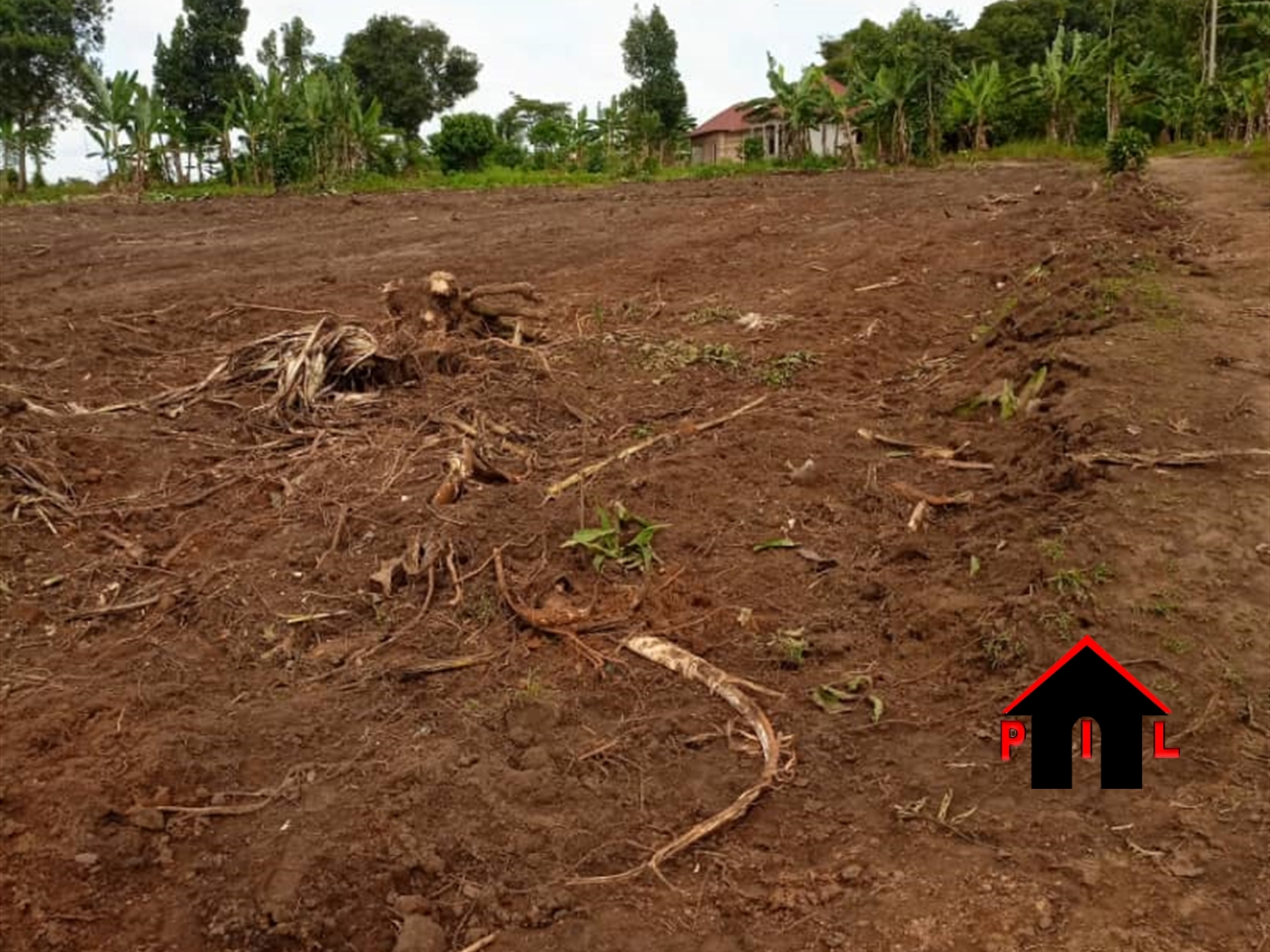 Agricultural Land for sale in Kasana Luwero