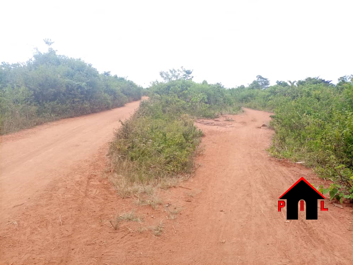 Agricultural Land for sale in Kakooge Luweero