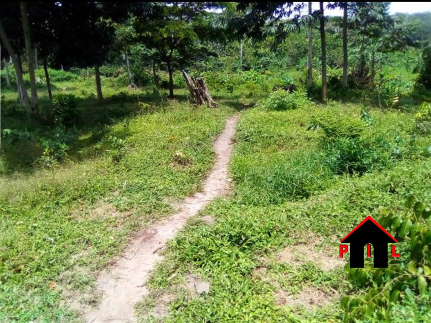 Agricultural Land for sale in Busanga Mukono