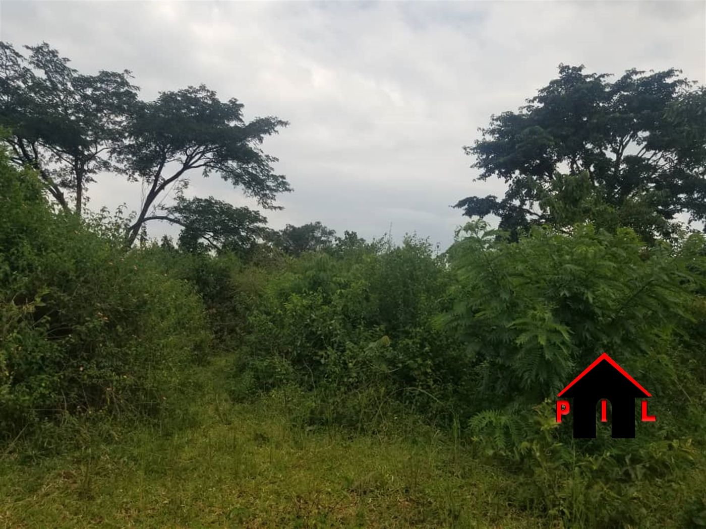 Agricultural Land for sale in Kitwara Kisoro