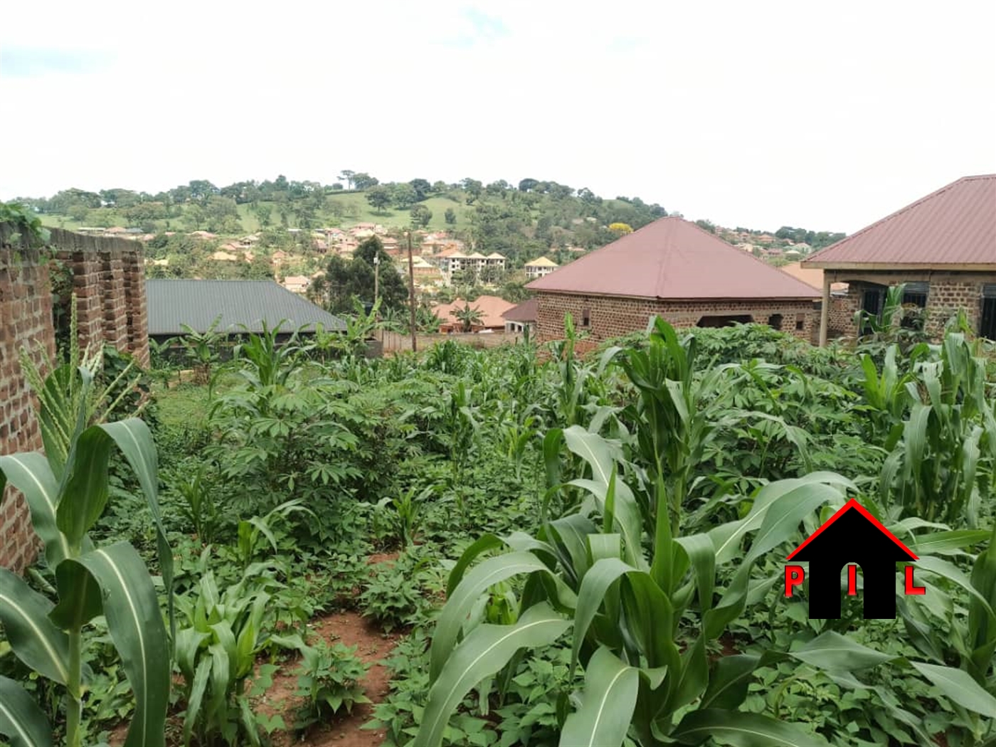 Residential Land for sale in Namagunga Mukono