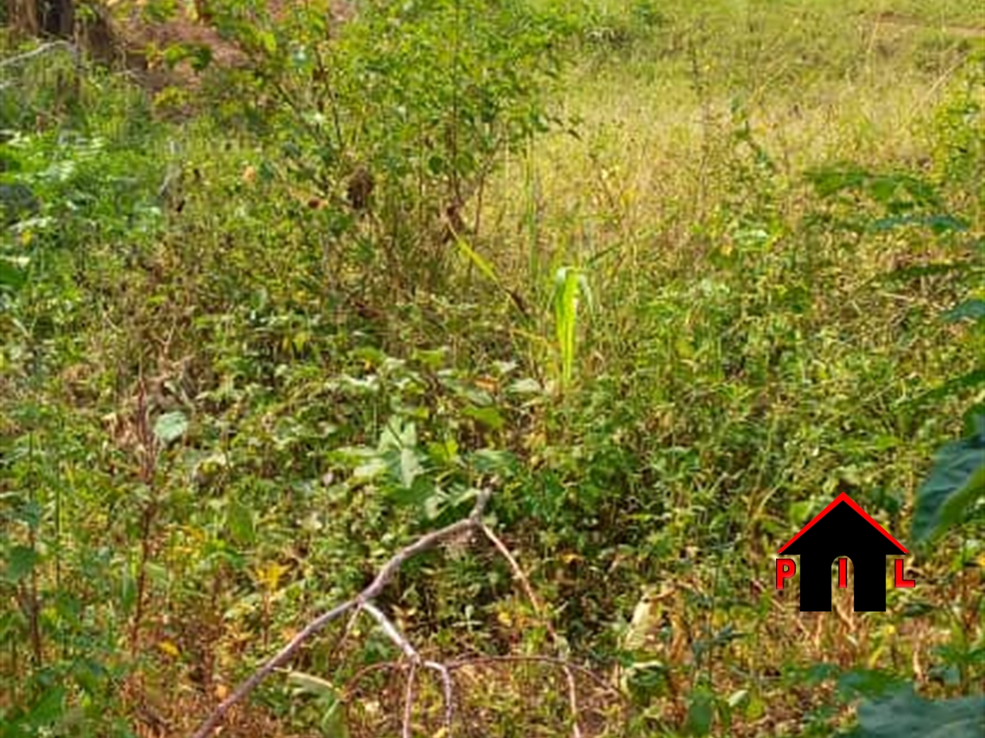 Residential Land for sale in Kigombya Mukono