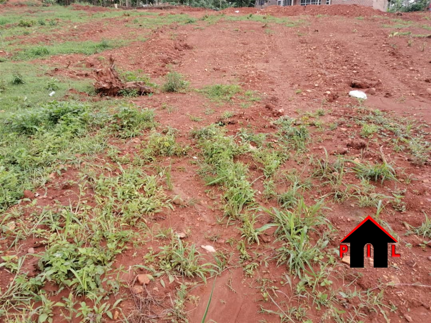 Agricultural Land for sale in Kampilingisa Mpigi