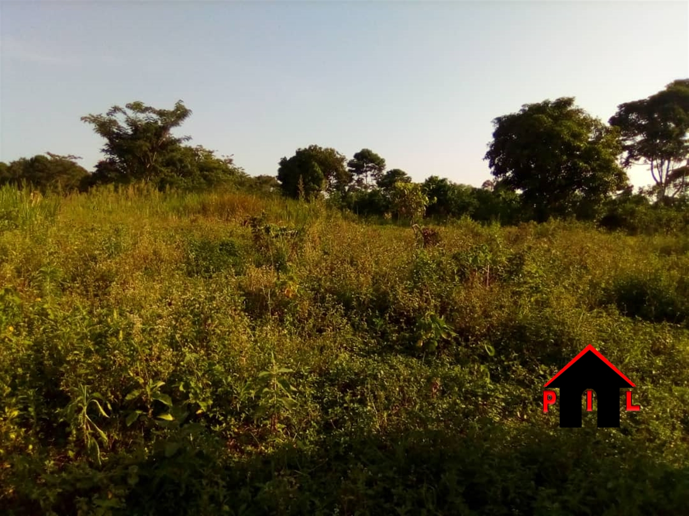 Agricultural Land for sale in Kalengera Mukono