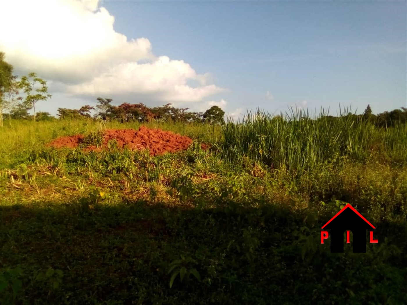 Agricultural Land for sale in Kalengera Mukono
