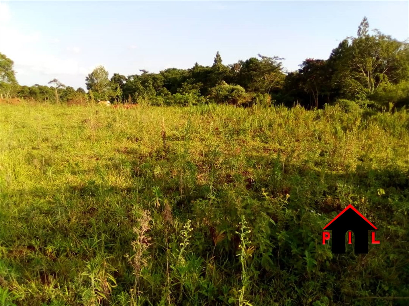 Commercial Land for sale in Kiryatete Hoima