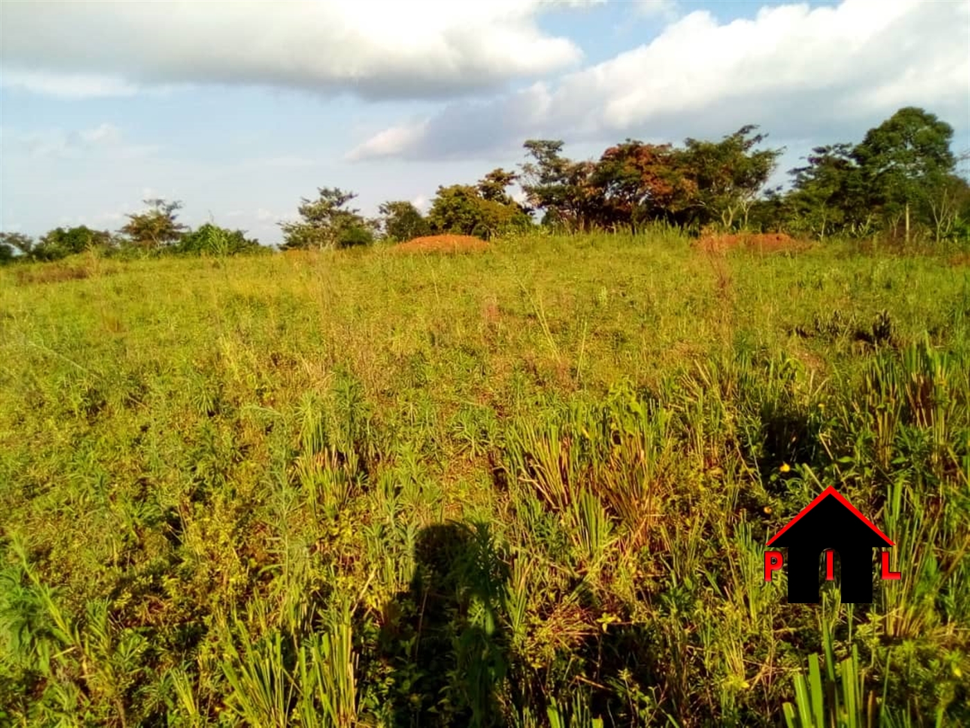 Commercial Land for sale in Kiryatete Hoima