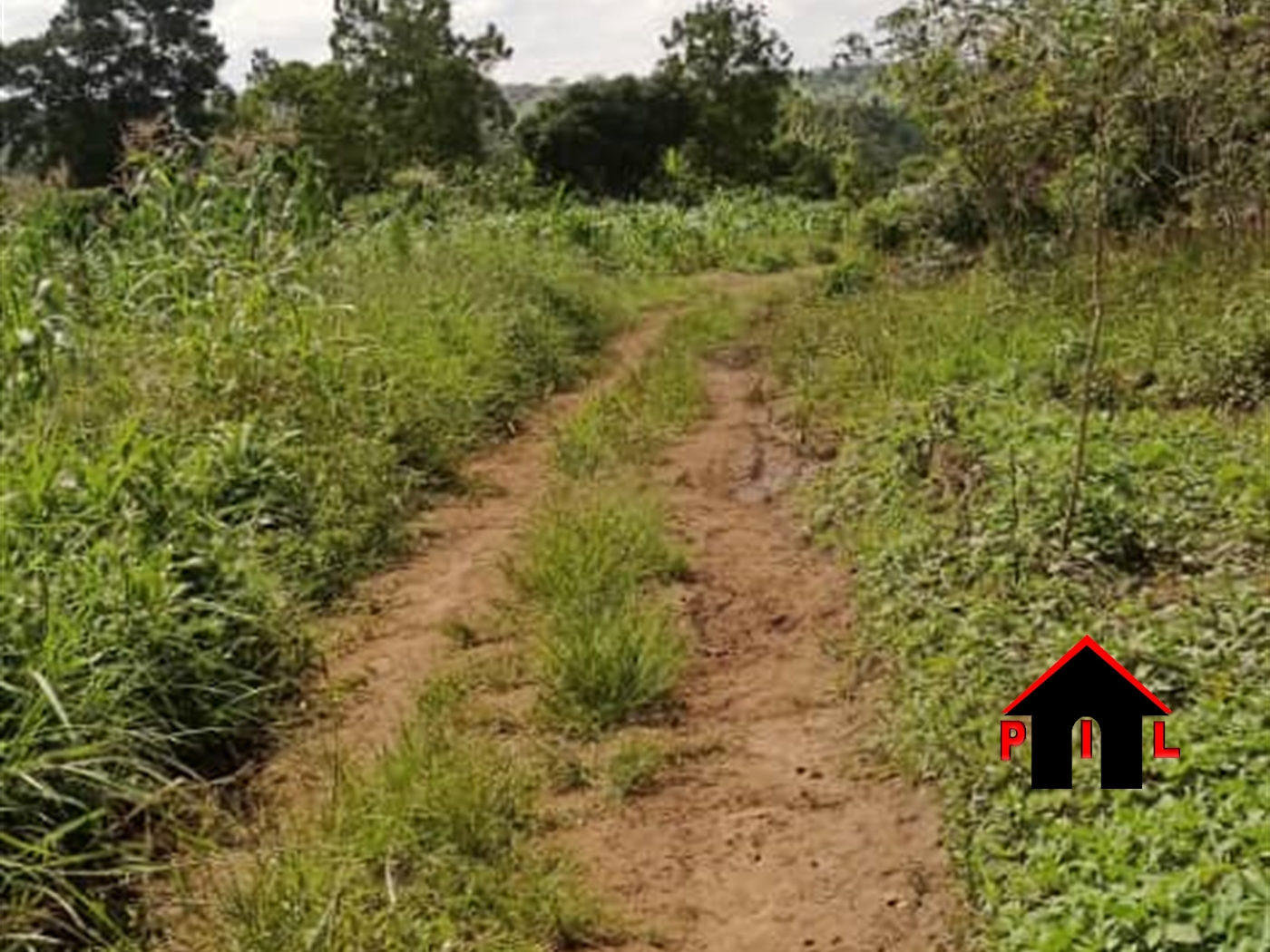 Residential Land for sale in Namayumba Hoima