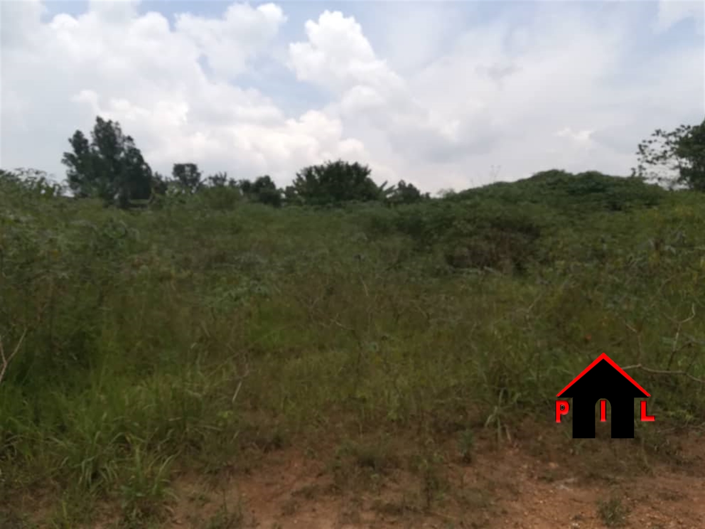 Agricultural Land for sale in Nalongo Luwero