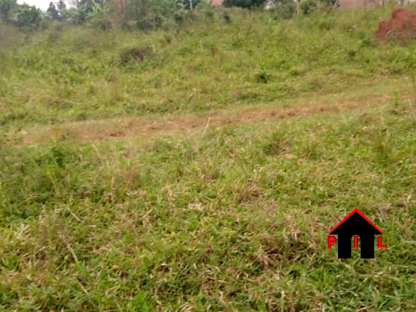 Agricultural Land for sale in Bujenje Masindi