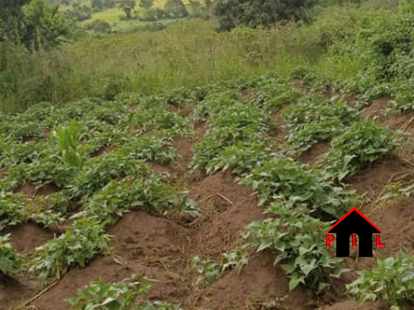 Residential Land for sale in Namayumba Wakiso