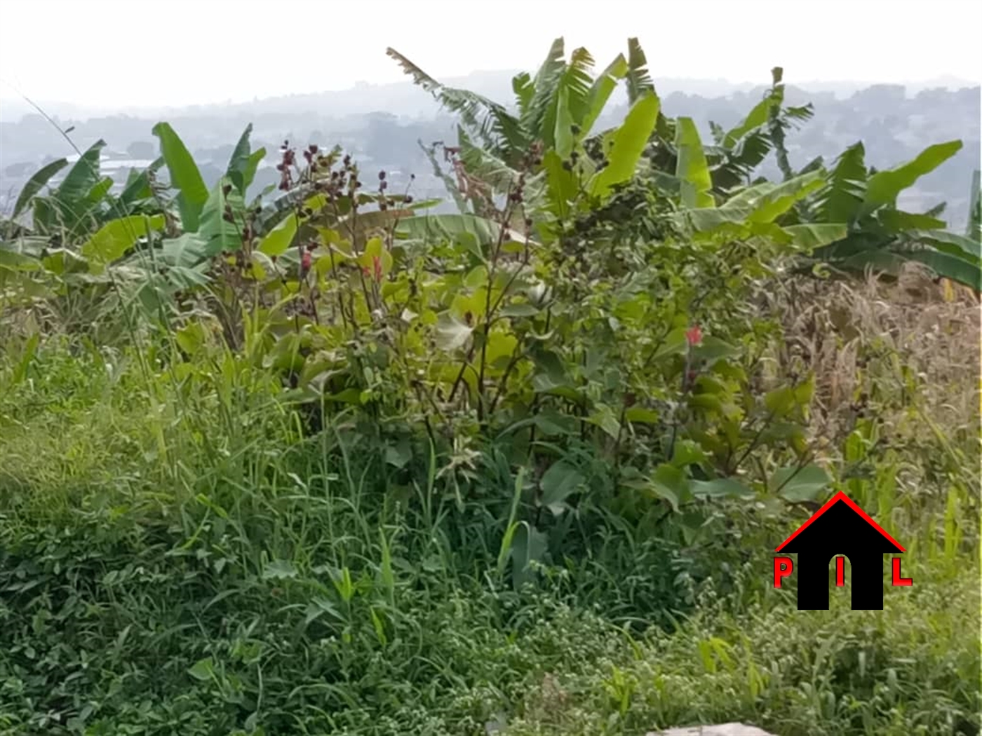 Agricultural Land for sale in Kakumilo Hoima