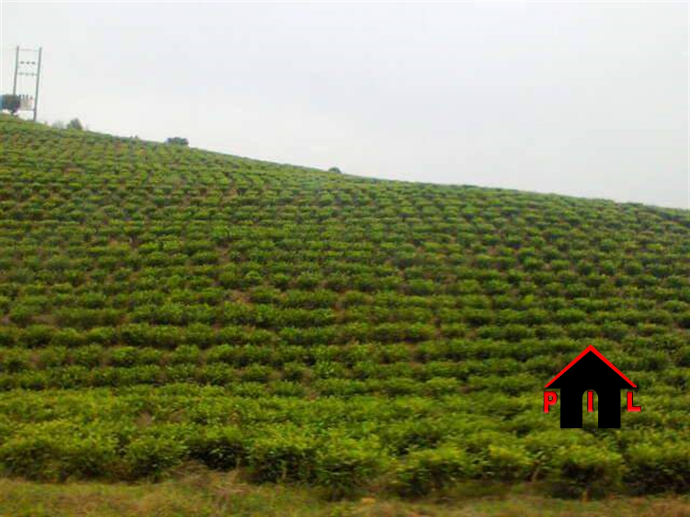 Agricultural Land for sale in Nakisungu Mukono