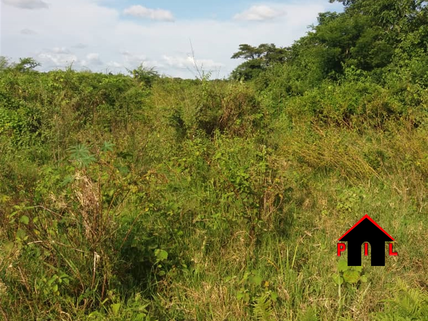 Agricultural Land for sale in Sentema Wakiso