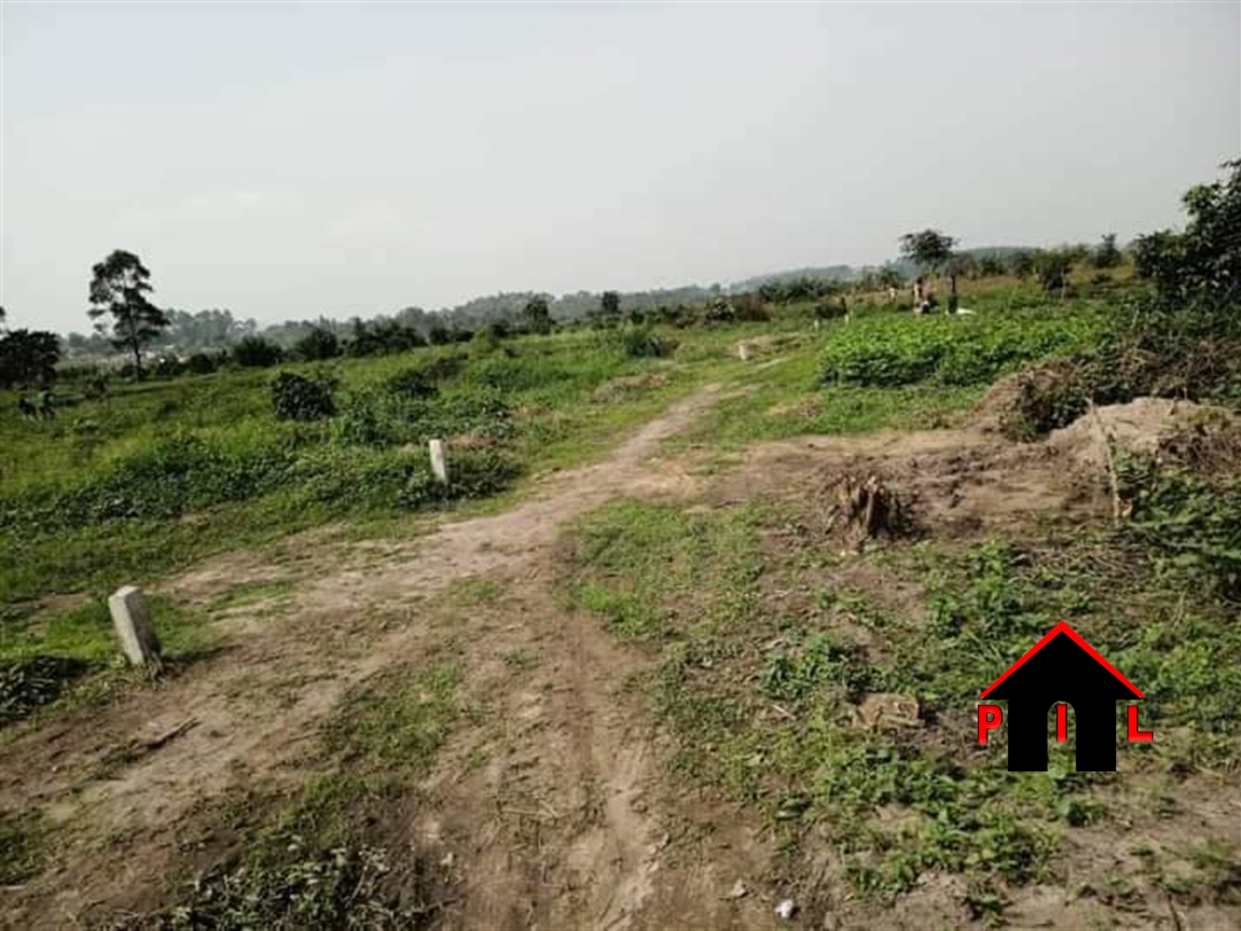 Agricultural Land for sale in Muduuma Mityana