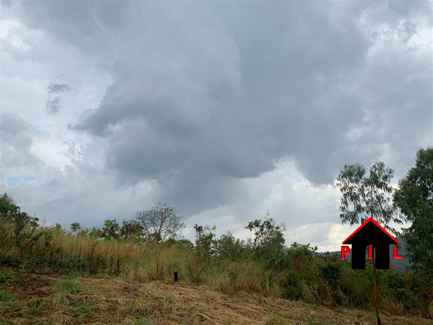 Agricultural Land for sale in Nakaseeta Hoima