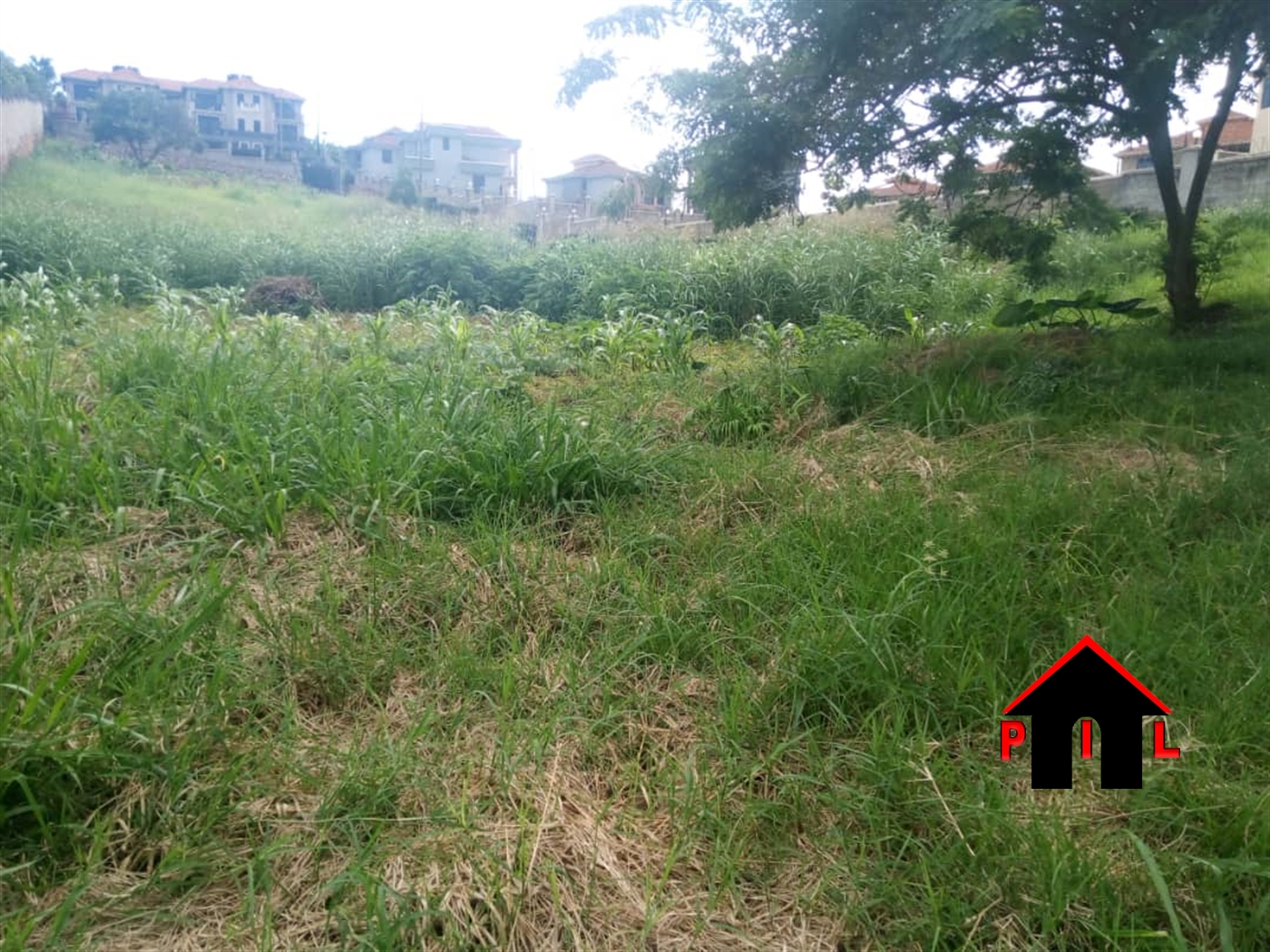 Agricultural Land for sale in Butalangu Nakaseke