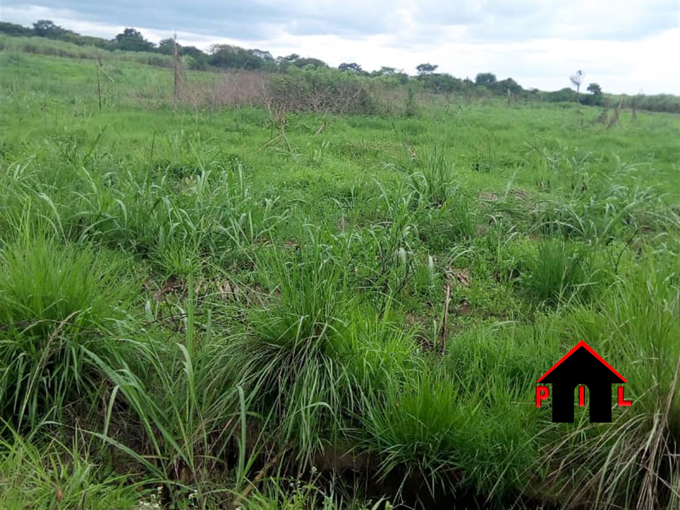 Agricultural Land for sale in Butalangu Nakaseke