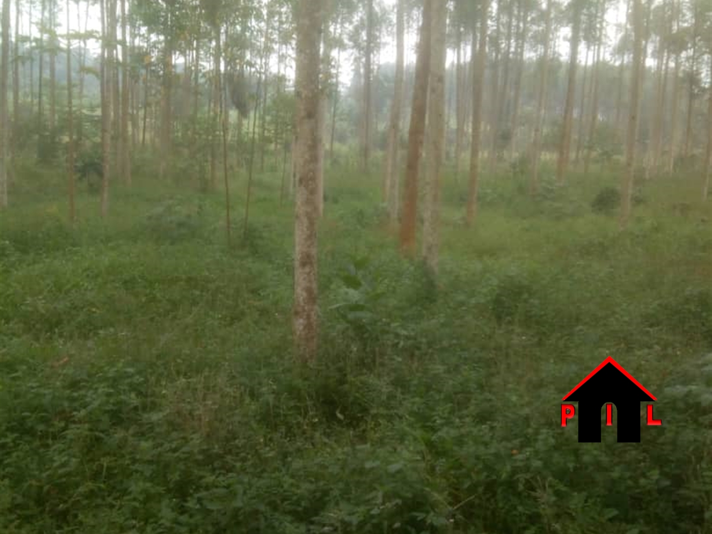 Agricultural Land for sale in Katende Mpigi