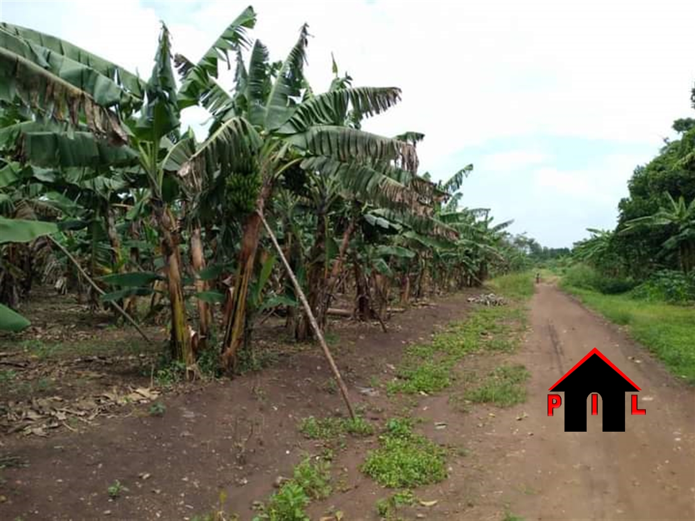 Agricultural Land for sale in Nakaseeta Luwero