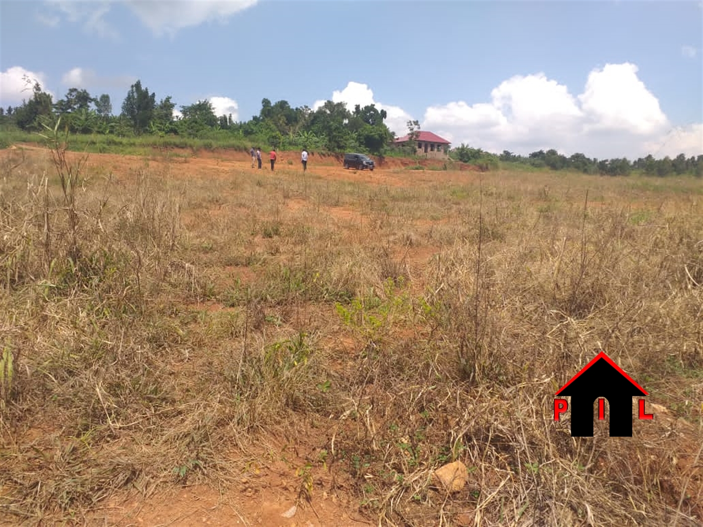 Agricultural Land for sale in Bugema Luweero