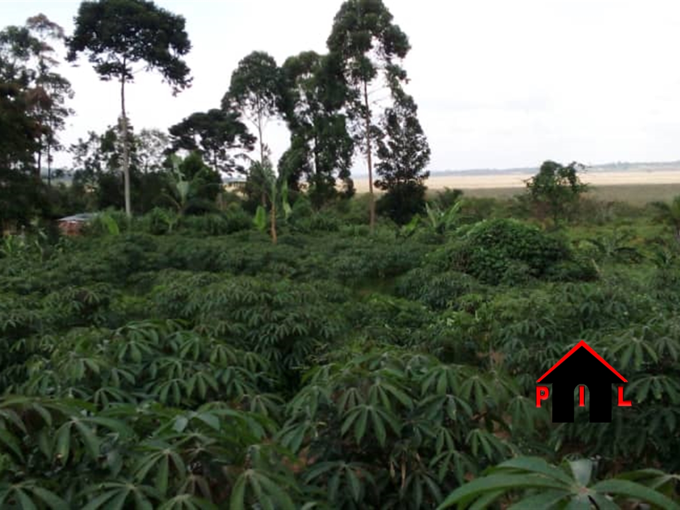 Residential Land for sale in Buso Wakiso