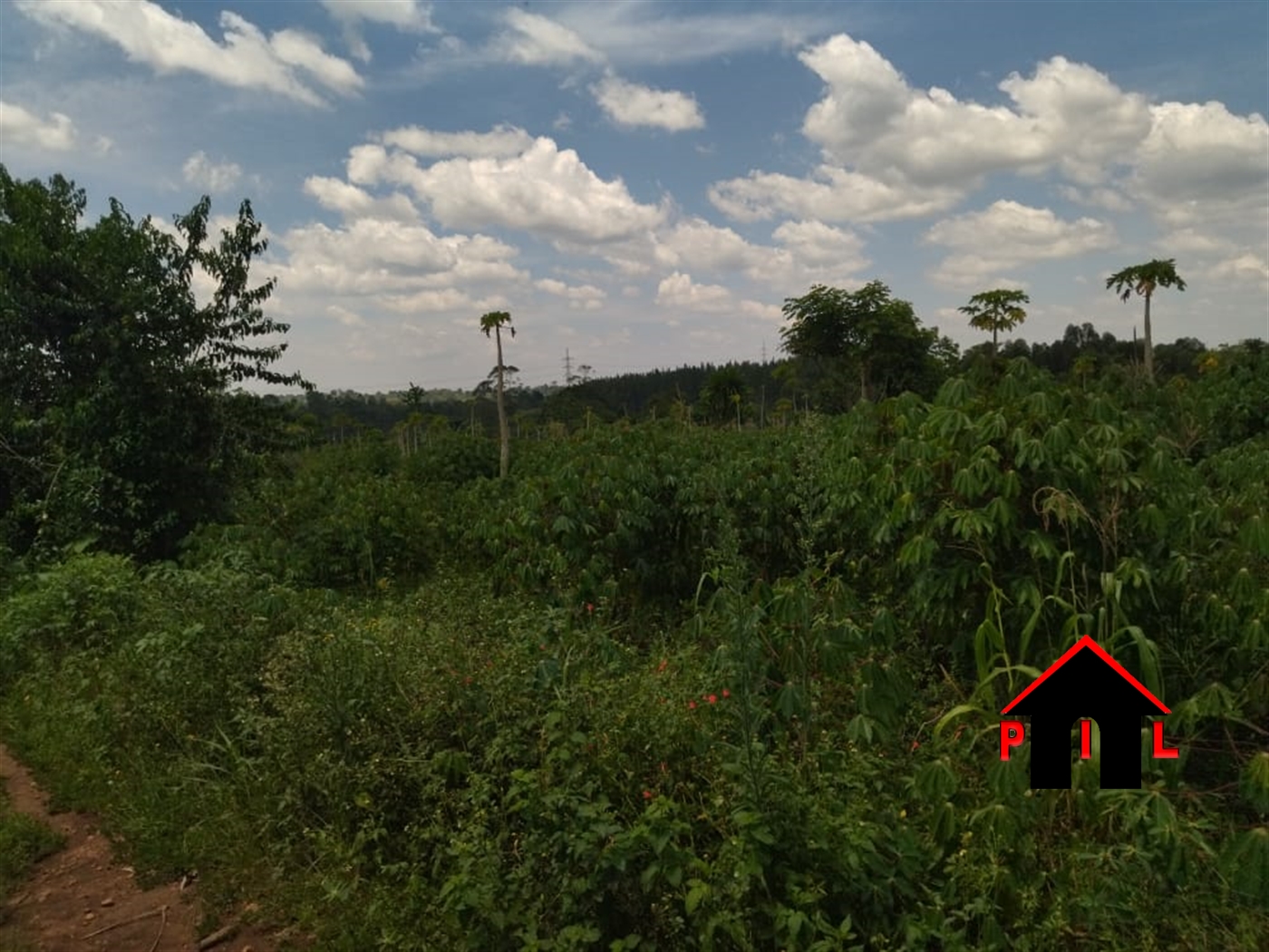 Agricultural Land for sale in Kangulumira Kayunga