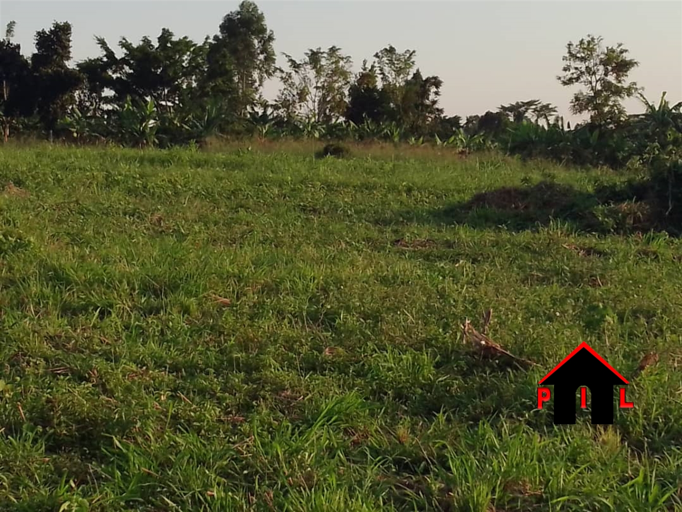 Agricultural Land for sale in Katera Hoima
