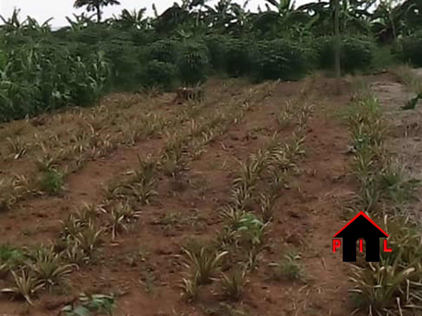 Residential Land for sale in Nakassajja Wakiso