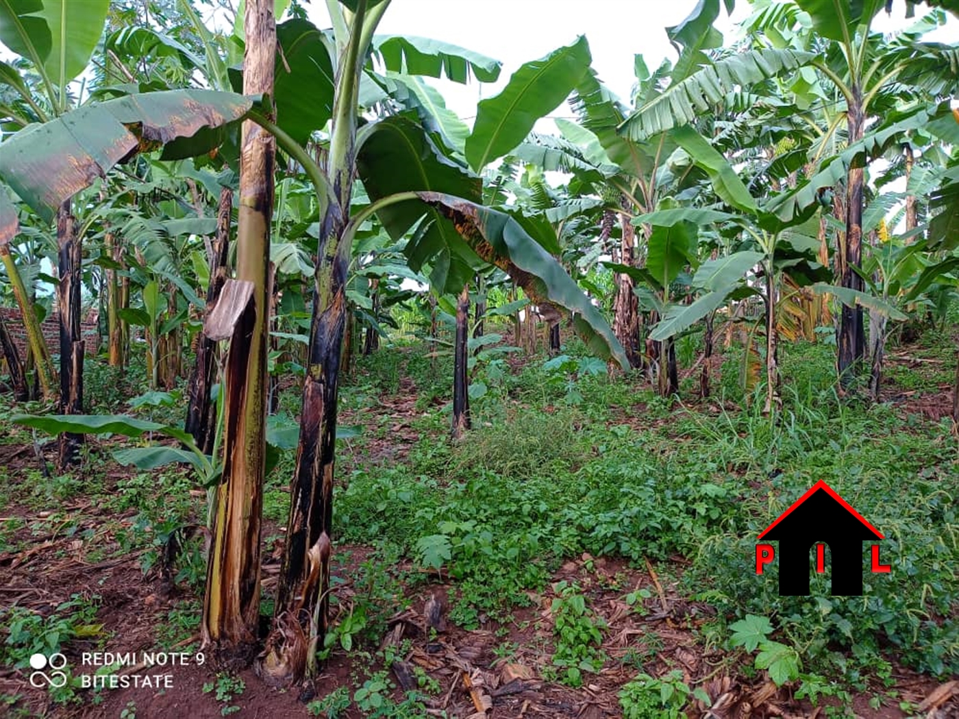 Residential Land for sale in Kira Wakiso