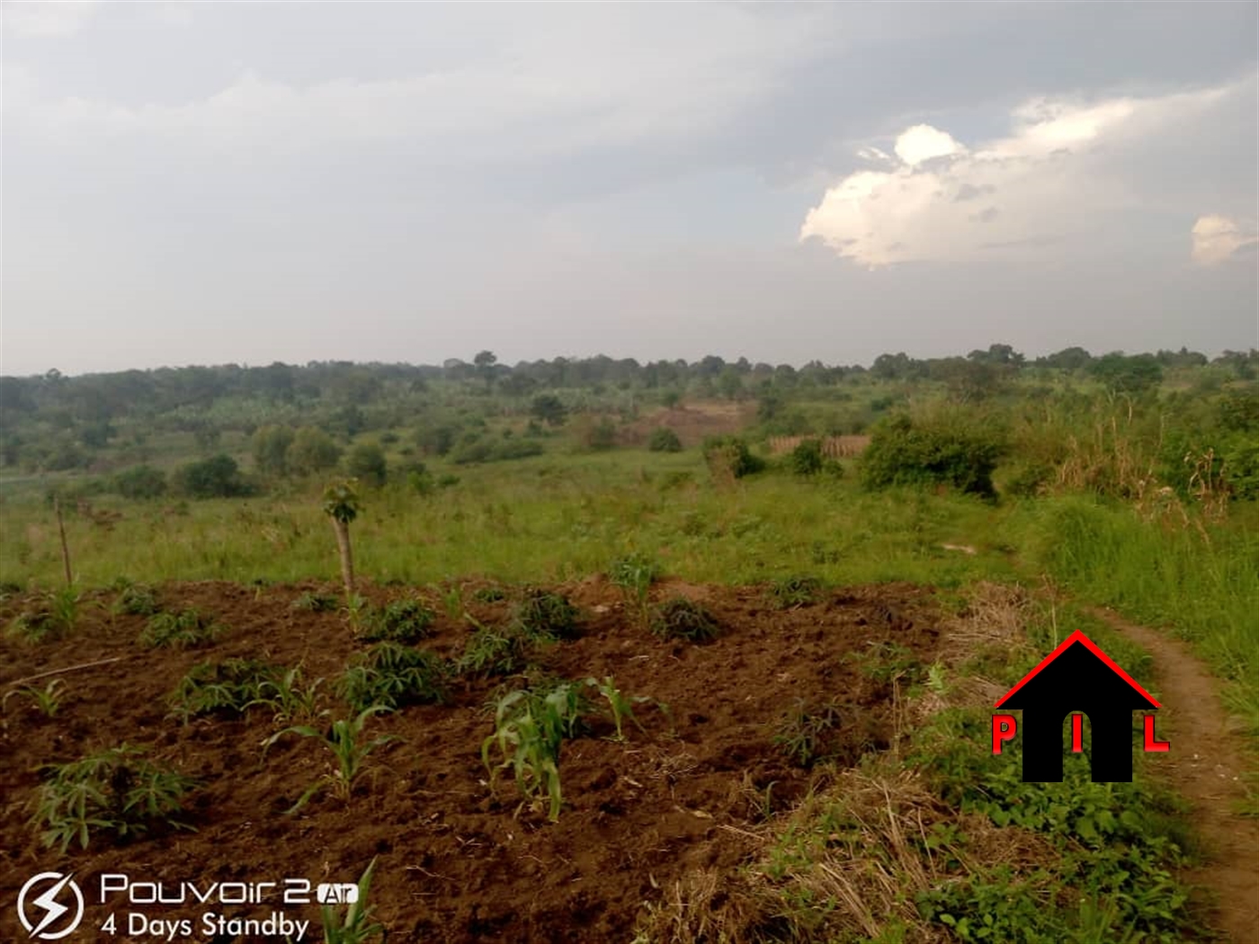 Agricultural Land for sale in Kiyunga Mukono