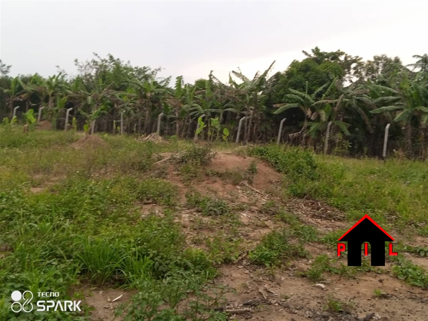 Agricultural Land for sale in Ziloobwe Luweero