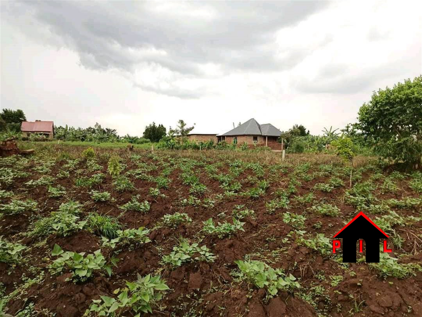 Agricultural Land for sale in Kyetume Mukono