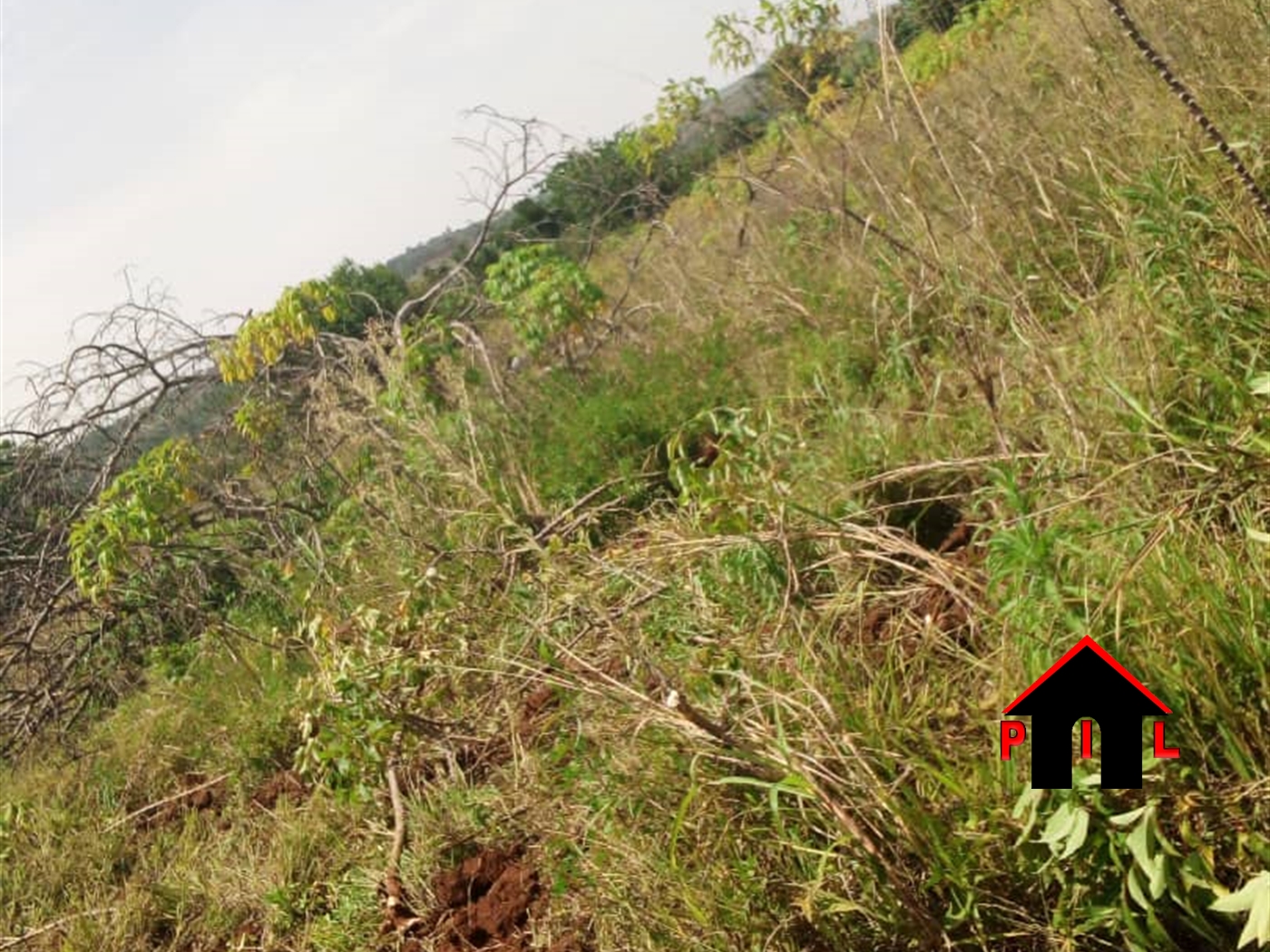 Residential Land for sale in Kungu Wakiso