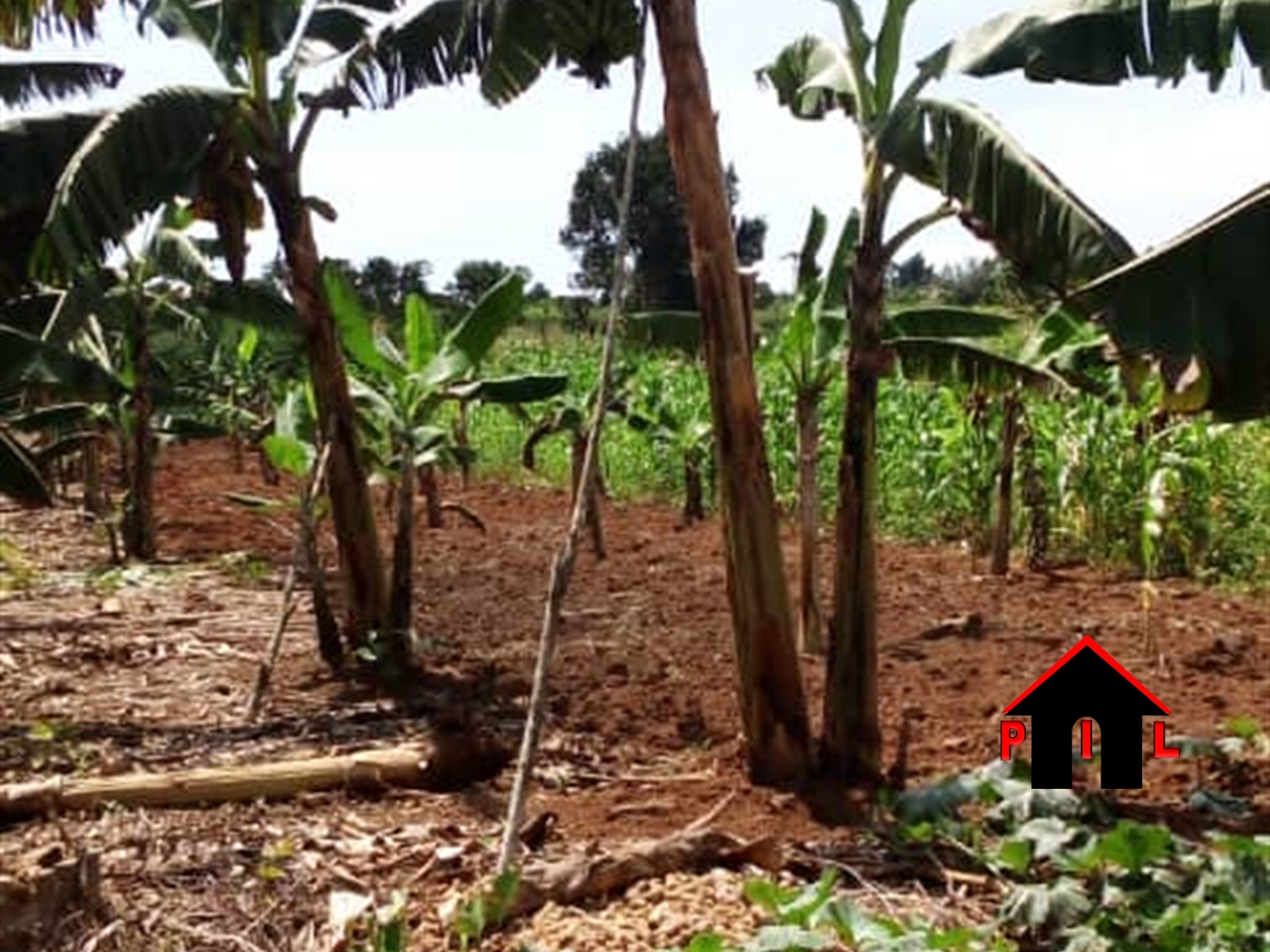 Residential Land for sale in Kyanja Kampala