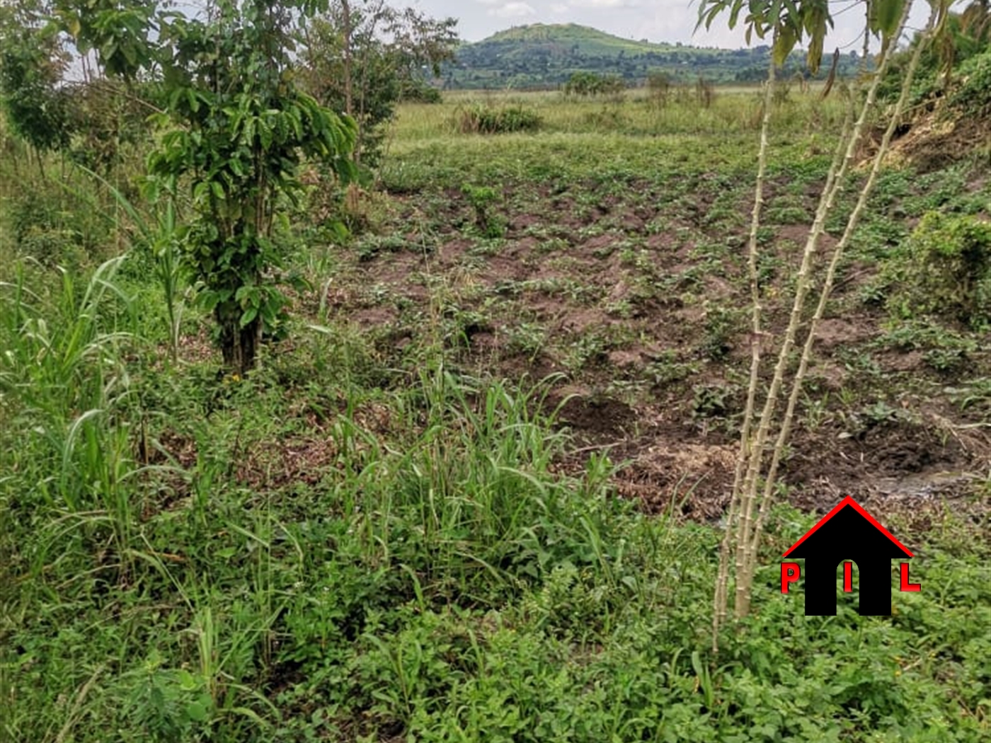 Agricultural Land for sale in Kyotela Masaka