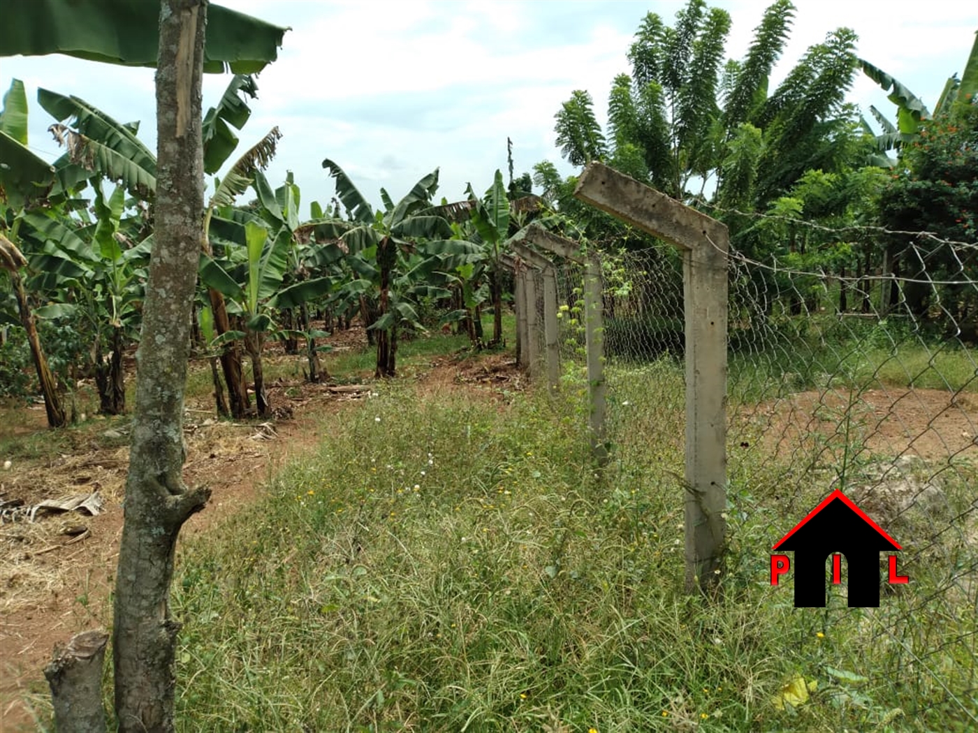 Agricultural Land for sale in Gobelo Hoima