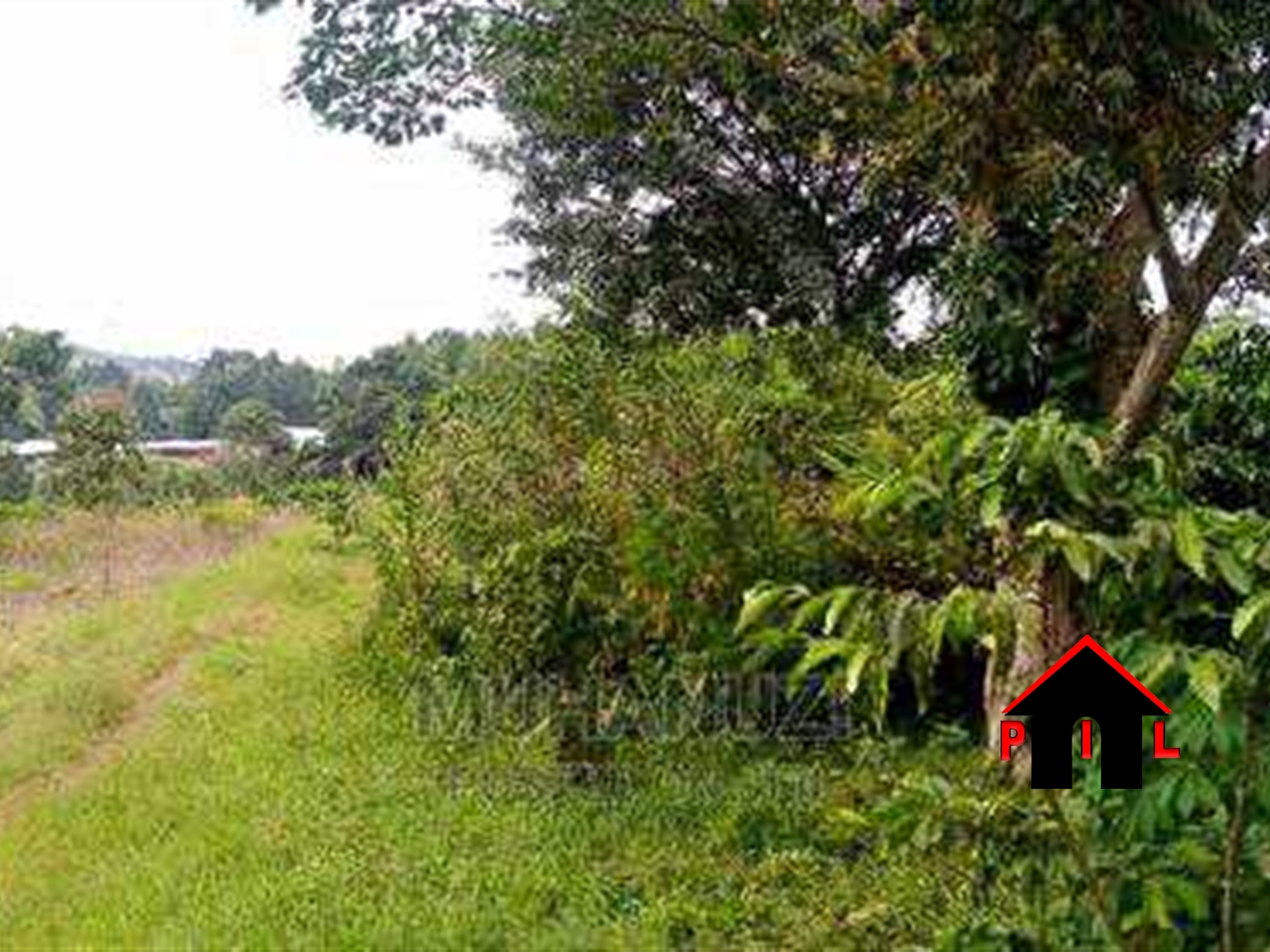 Agricultural Land for sale in Busunjju Wakiso