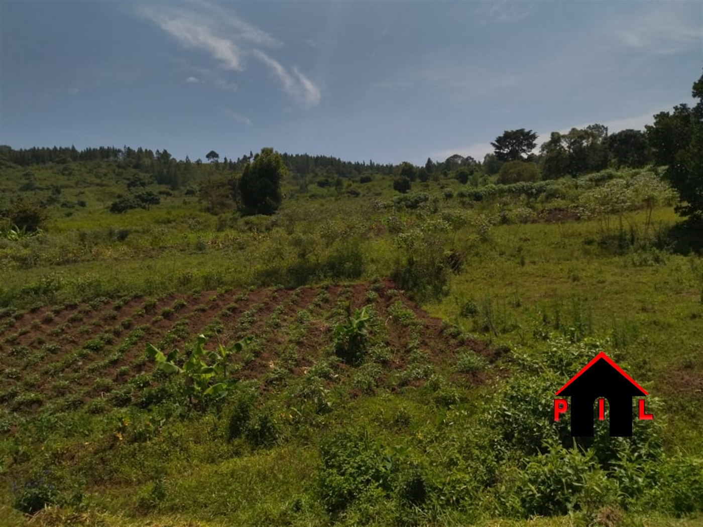 Agricultural Land for sale in Nkokonjeru Mukono