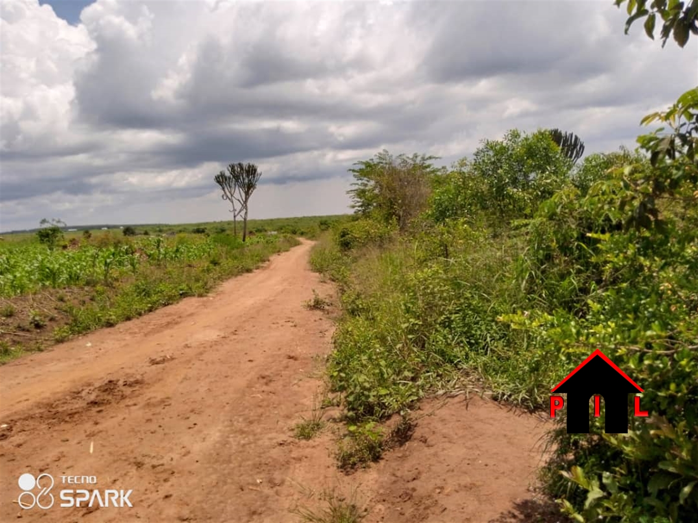 Agricultural Land for sale in Kibanga Mukono