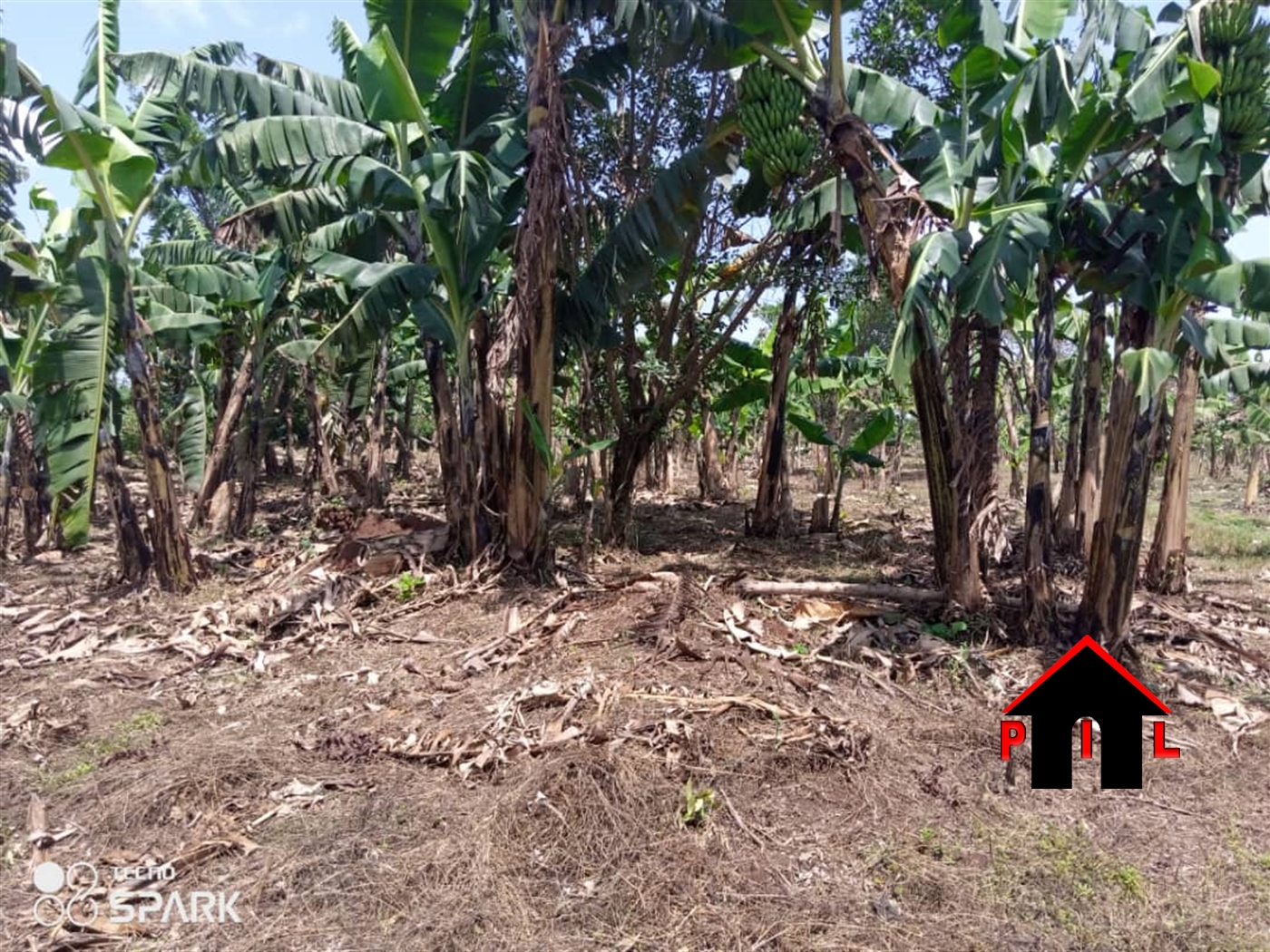 Agricultural Land for sale in Butalangu Nakaseke