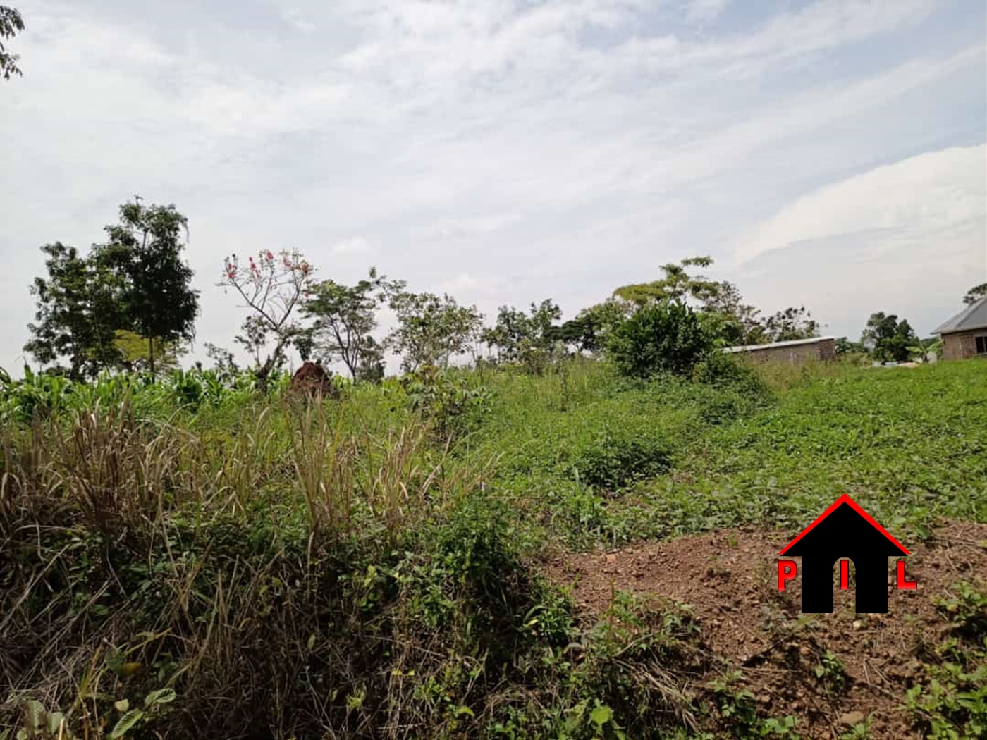 Agricultural Land for sale in Butalangu Nakaseke