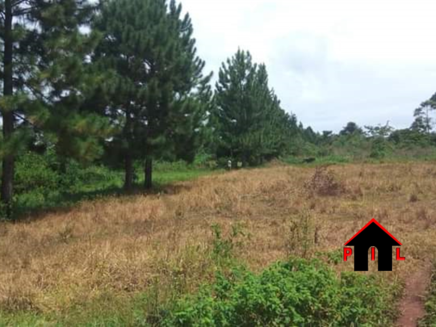 Agricultural Land for sale in Katosi Mukono