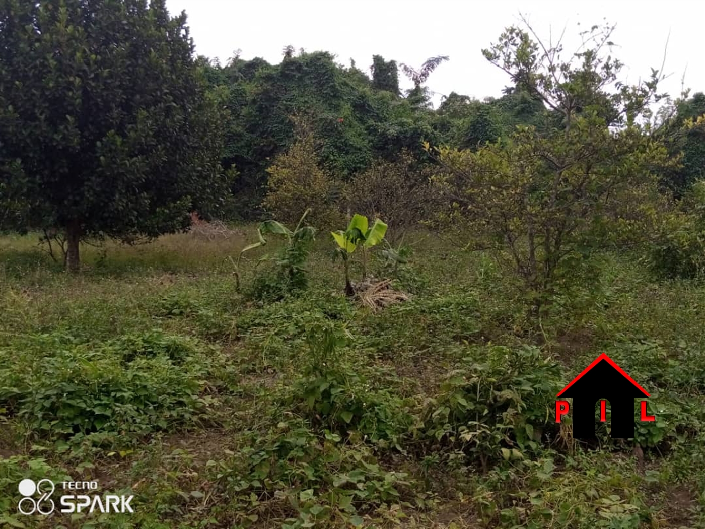 Agricultural Land for sale in Busiika Wakiso