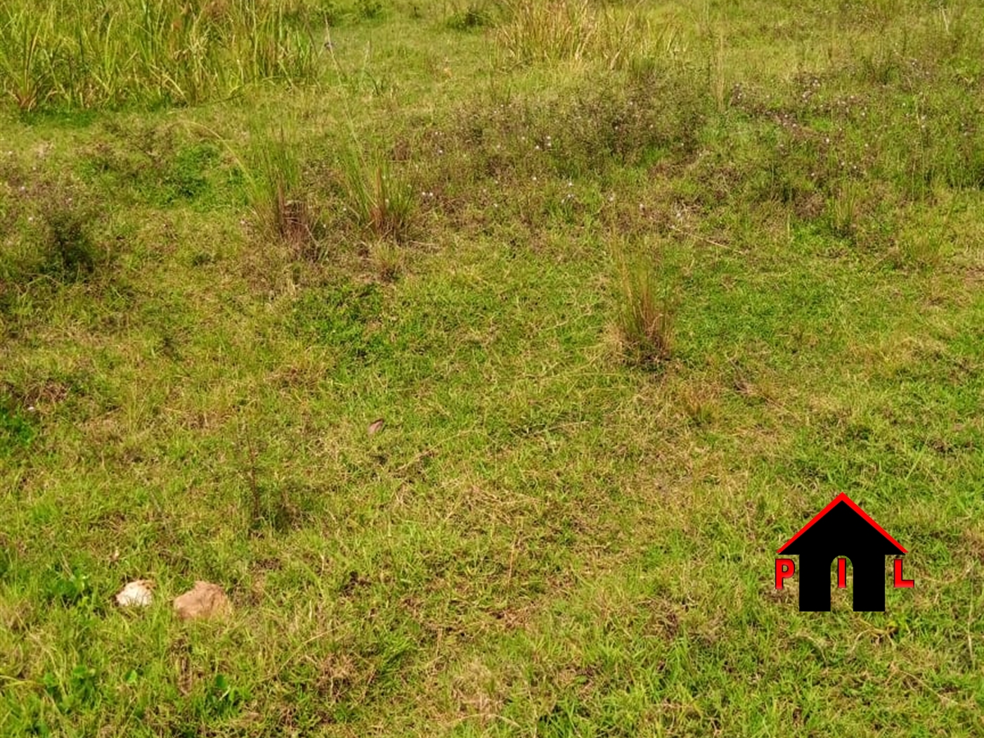Residential Land for sale in Buzzi Wakiso