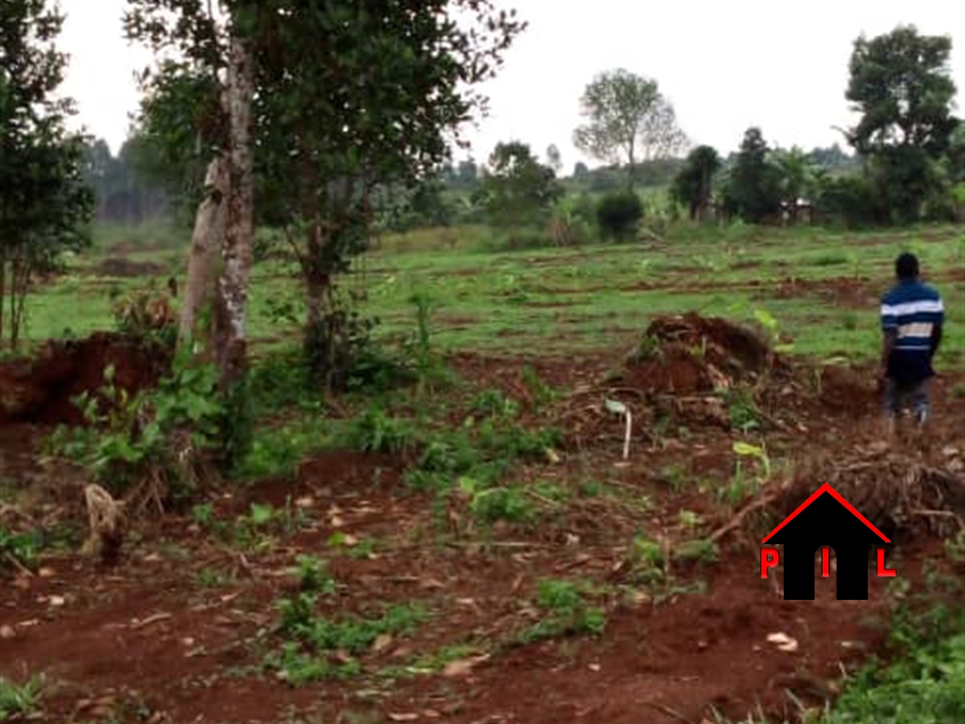 Commercial Land for sale in Ngongolo Wakiso