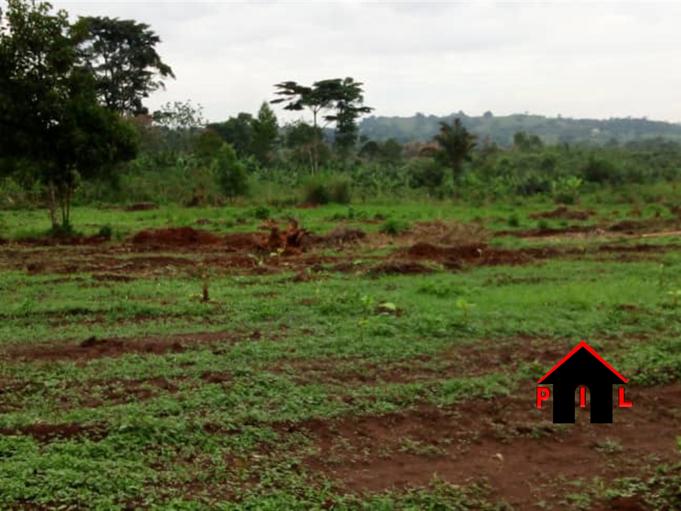 Commercial Land for sale in Ngongolo Wakiso