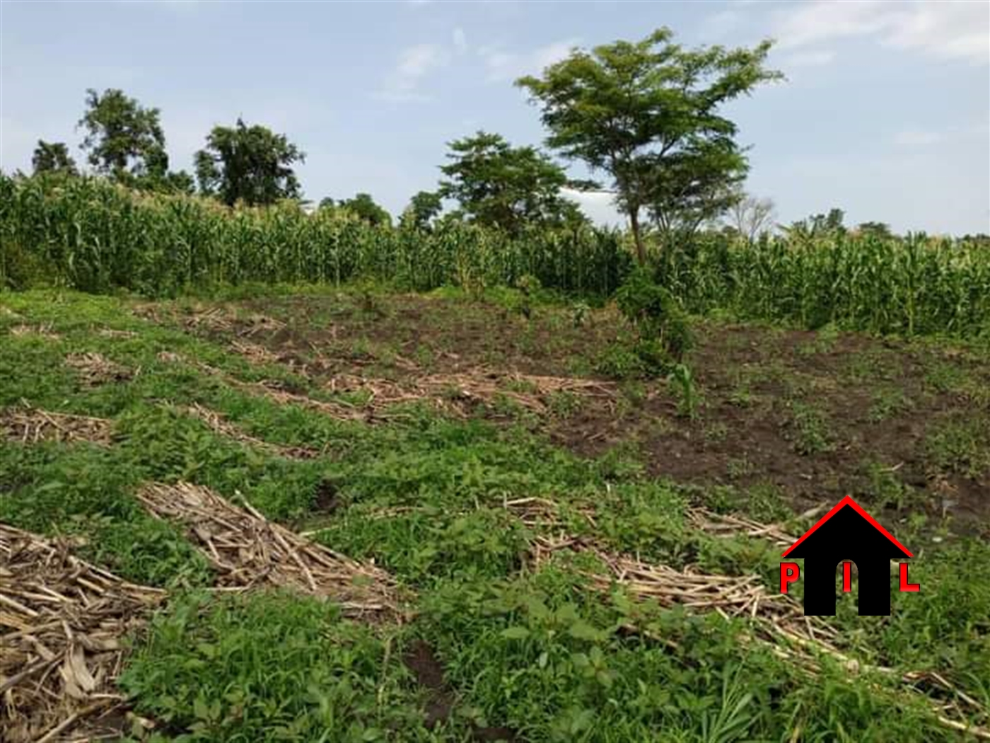 Agricultural Land for sale in Bukakata Masaka