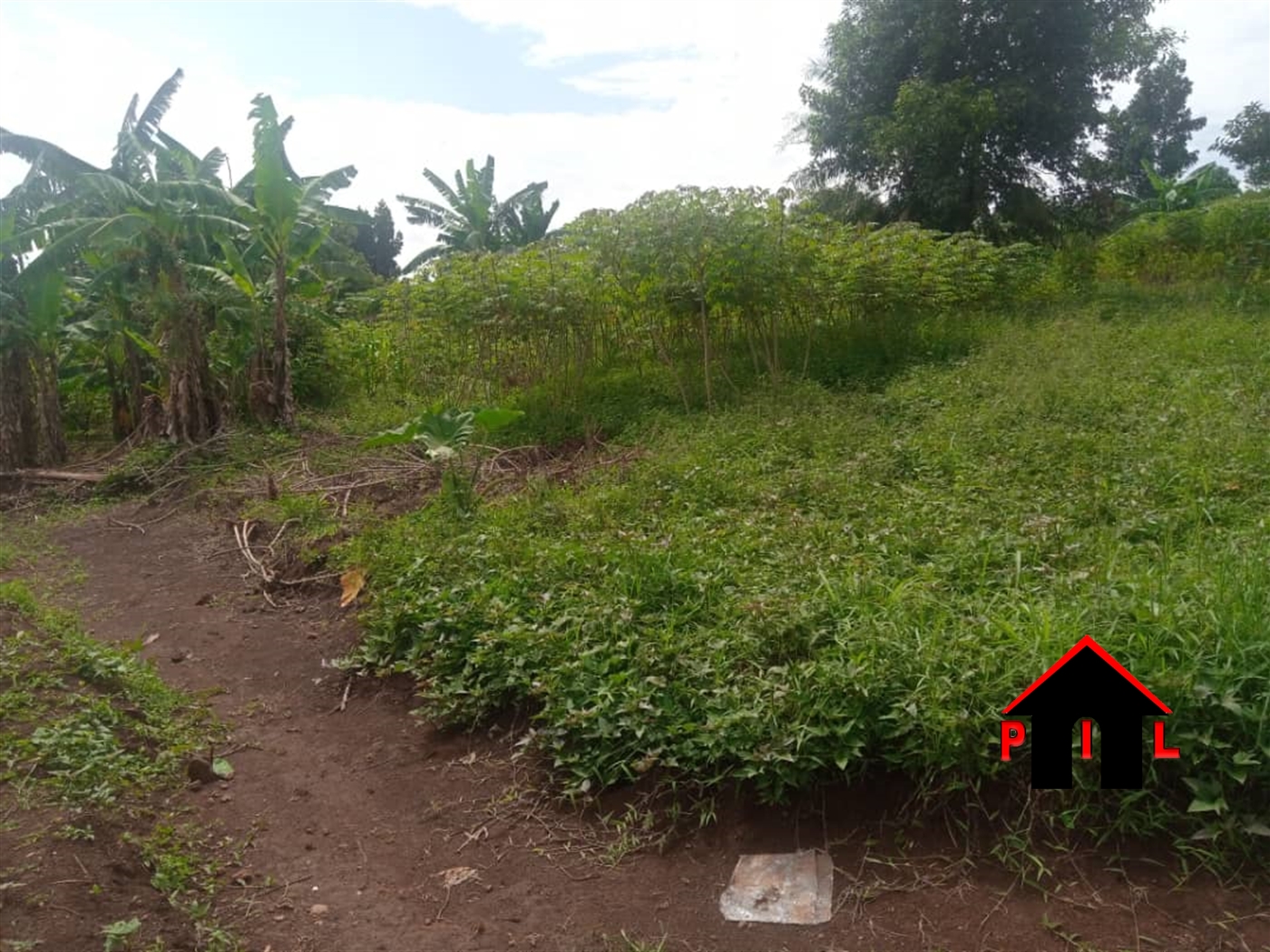 Residential Land for sale in Sonde Mukono